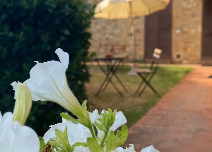 Lejlighedshotel Casaletolfe